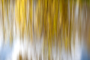 Foto van gele strepen, vloeiend. Abstracte foto Lisette Geel