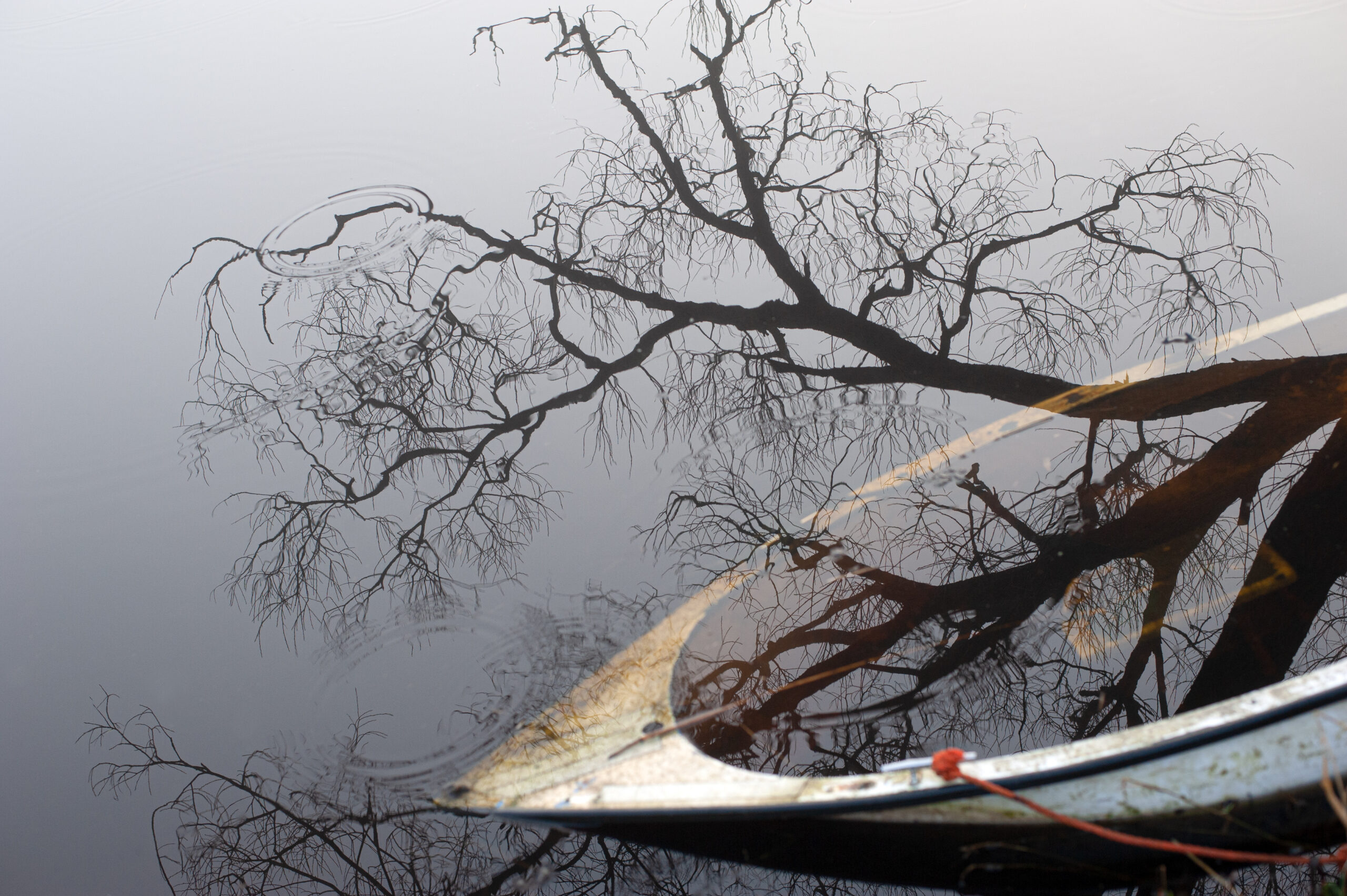 boot half onder water met een spiegeling van een boom erdoorheen