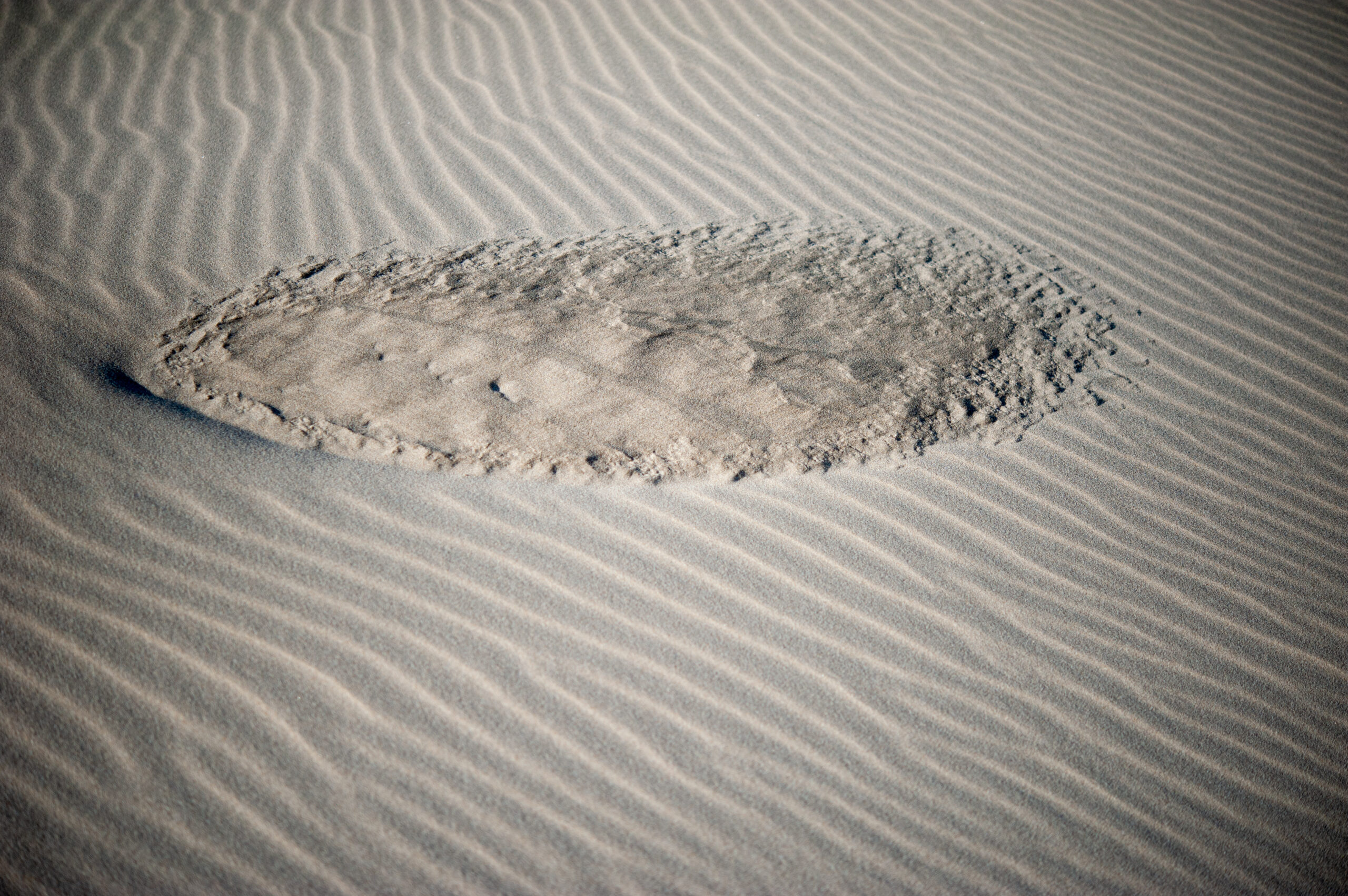Rond stuk zand temidden van zand met golven erin door de wind