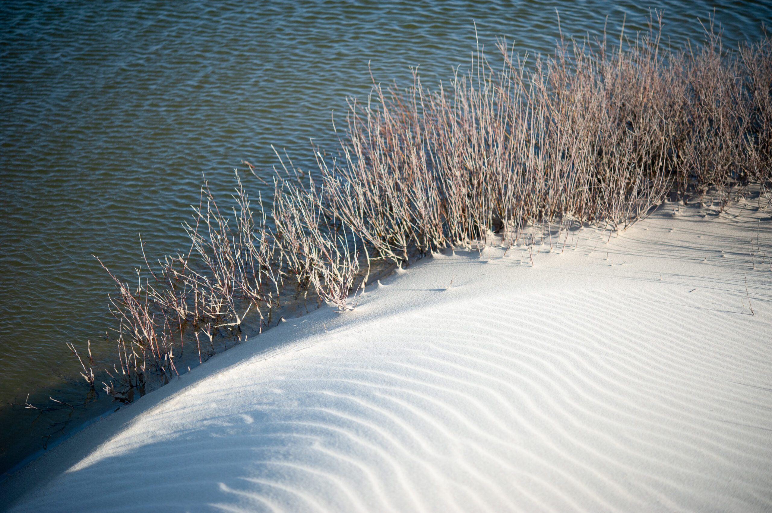 Foto van wit zand met water op de achtergrond, en een soort lage struiken