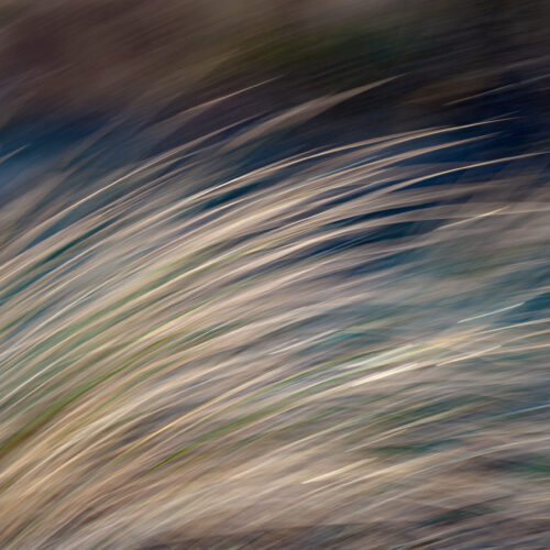 Lichte buigende lijnen