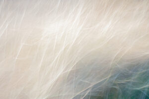 Abstracte foto bewegende witte draden - foto van Lisette Geel