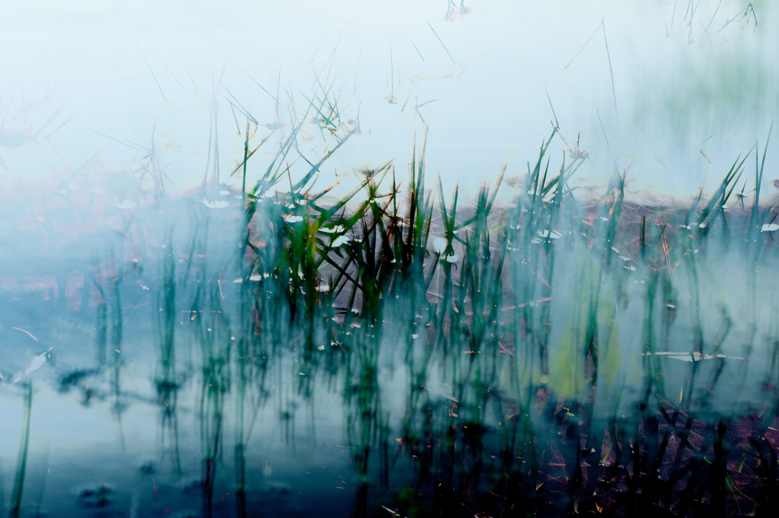 Abstracte foto van gras en ijs - foto van Lisette Geel