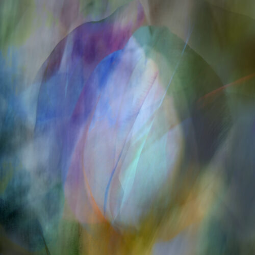 abstracte bloem Lisette Geel