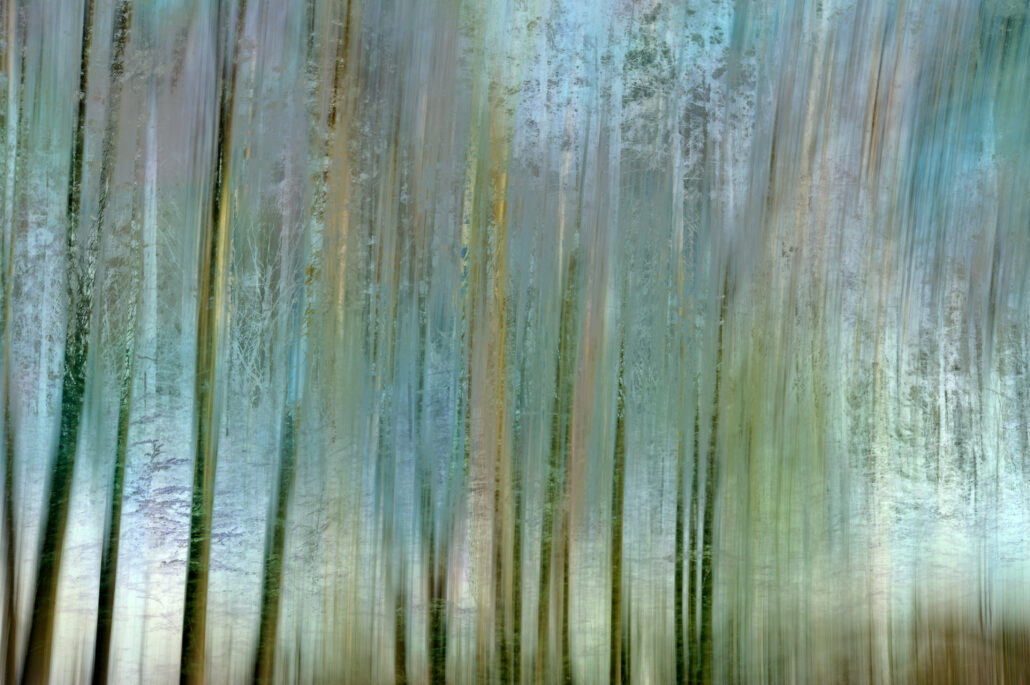 Meervoudige belichting in het bos. 