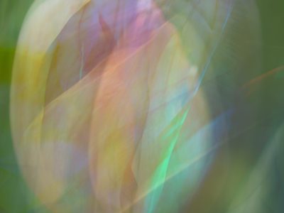 abstracte afbeelding van een bloem